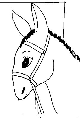 donkey